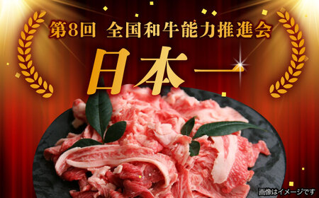 【1月発送】【飛騨牛】 切り落とし 1kg 和牛 ブランド牛 国産 牛肉 多治見市 / 渡辺精肉店 [TAZ005-1]