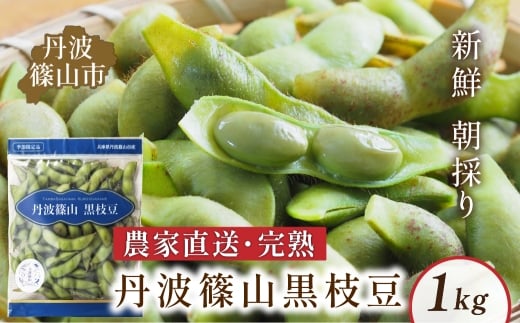 丹波黒枝豆 さや 丹波篠山産 完熟枝豆 1kg 500g×2袋 農家直送 小分け【季節限定 おつまみ 枝豆 えだまめ 黒豆 ご当地グルメ 特産品】
