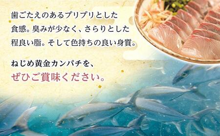 【ねじめ黄金カンパチ】フィレ 1枚 カンパチ 片身分 ( 約1,250g × 1枚 ) 着日指定可 | かんぱち 勘八 産地直送 冷蔵 刺身 カンパチ 美味しい 魚