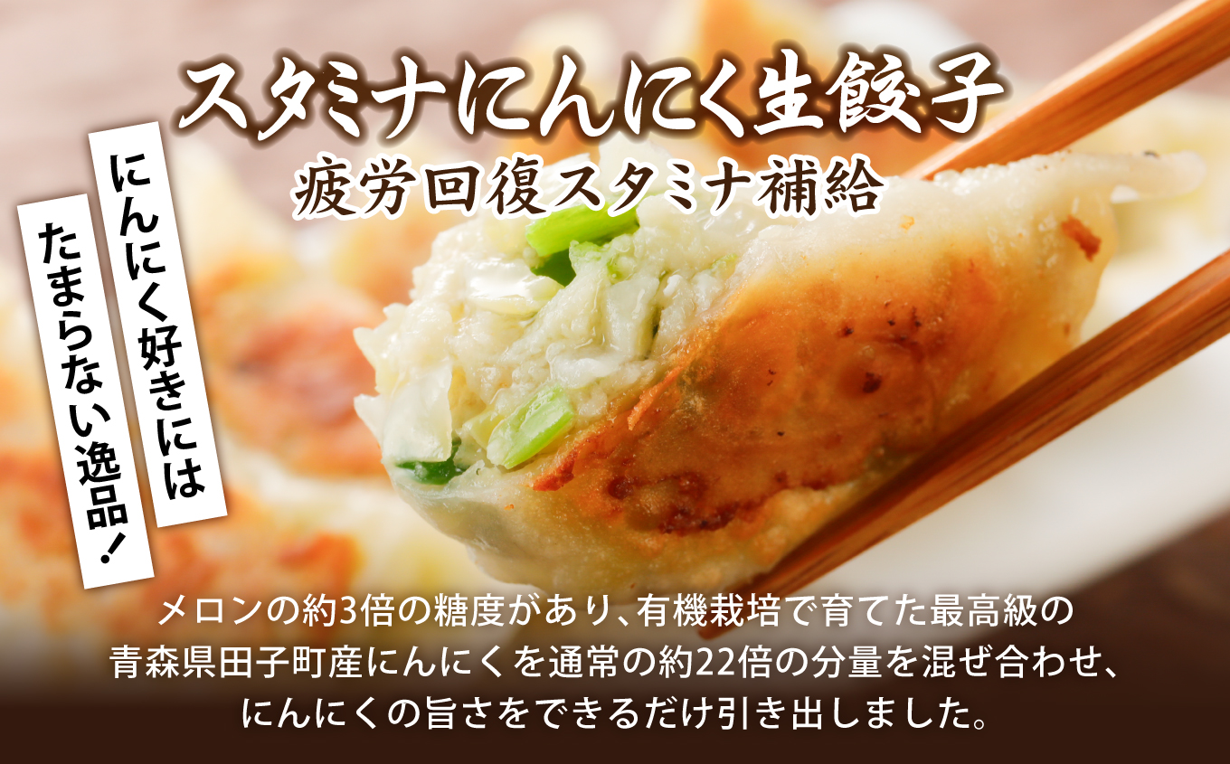こだわり本格 生餃子 5種 食べ比べ セット 50個入り (10個×各5種類)  味の匠 味自慢 こだわり 本格 生餃子 エビ チーズ スタミナ にんにく 激唐 1週間程度で発送 冷凍  th0001