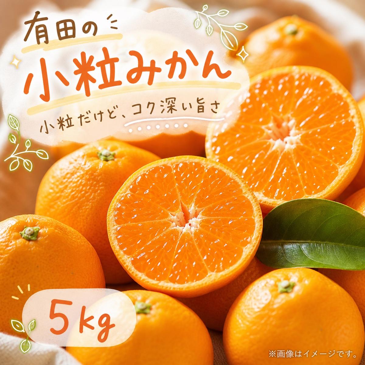 【先行予約】有田の小粒みかん5kg(S～3Sサイズ混合)◇｜みかん ミカン 柑橘 果物 くだもの フルーツ 甘い 小粒 先行予約 国産 濃厚 絶妙 糖度 酸味 産地直送 美浜町