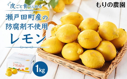 
            【レモン島から贈る】安心の国産レモン1kg 2026年1月15日より順次発送【瀬戸田 瀬戸田レモン 産地直送 フルーツ 檸檬 ノーワックス 防腐剤 防かび剤不使用】
          