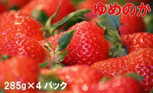 ゆめのか　いちご　苺　イチゴ　4パック【期間・数量限定】