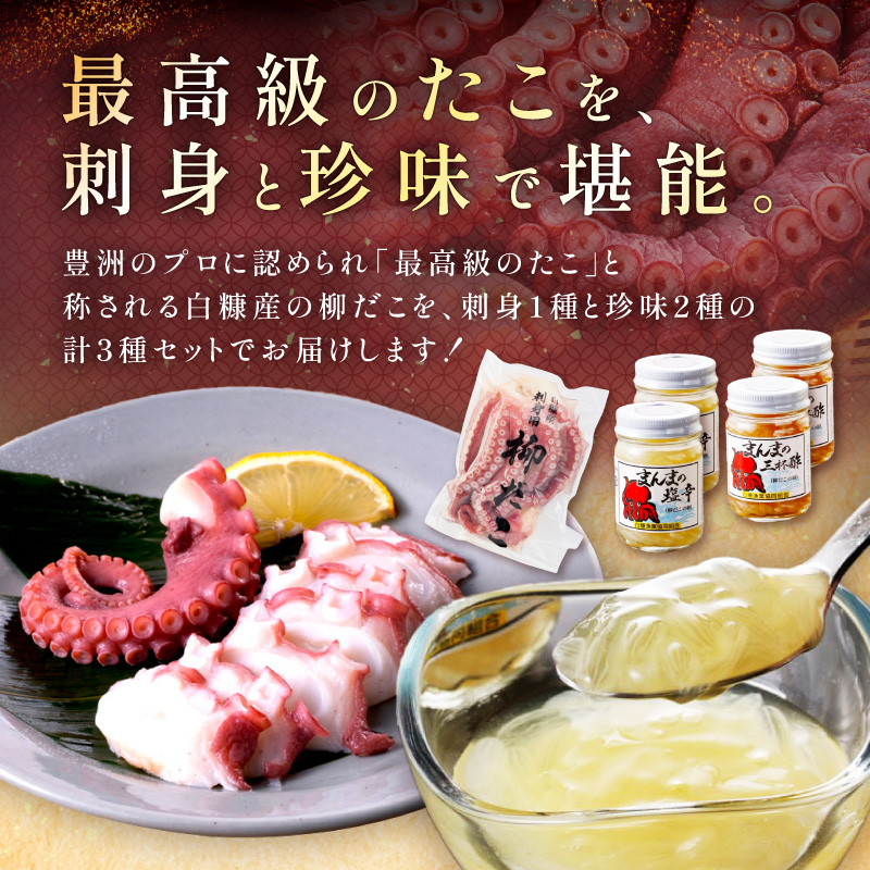 しらぬか産柳だこ（600g）と珍味（まんまの三杯酢・まんまの塩辛）の計3種セット_イメージ3