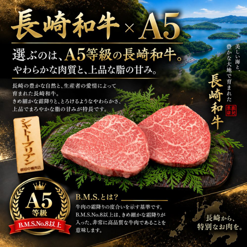 [B167］【長崎和牛】 A5等級 シャトーブリアン ステーキ 240g (120g×2枚) 国産 最高級 ブランド牛 ディナー バーベキュー BBQ 贈答 ギフト 黒毛和牛 田中精肉店 長崎県 佐世