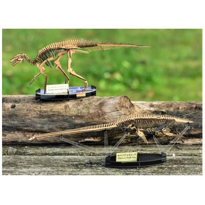 ふるさと納税 むかわ町 3D恐竜ペーパーパズル【カムイサウルス・ジャポニクス(むかわ竜)】【ホベツアラキリュウ】2点セット