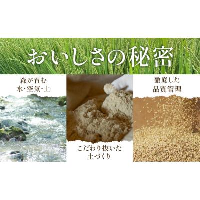 ふるさと納税 日高町 令和7年度 ゆめぴりか&おぼろづき 各5kg 10kg 田中農園《30日以内出荷予定(土日祝除く)》 |  | 01