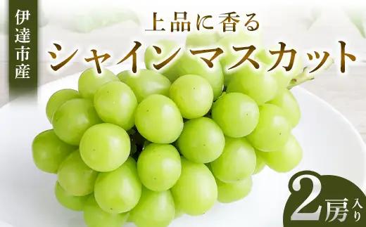 【福島県伊達市産】上品に香る シャインマスカット 2房入り マスカット ぶどう ブドウ 葡萄 デザート フルーツ 果物 くだもの 果実 食品 F21C-531