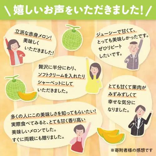 高評価★4.8【先行予約】茨城県産赤肉メロン4-5玉 (2026年5月下旬から発送開始) | ほのかメロン