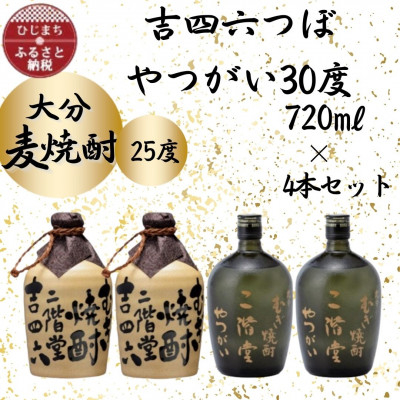 
大分むぎ焼酎　二階堂吉四六つぼ25度2本とやつがい30度2本(720ml)4本セット【1455794】
