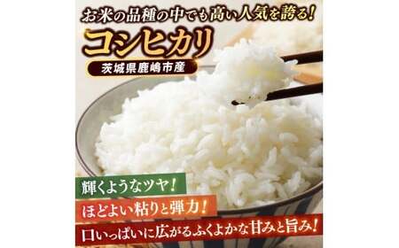先行予約 令和8年産【3ヶ月定期便】 米 コシヒカリ 10kg × 3回 精米 鹿嶋市産