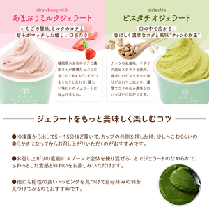 TVで紹介★自家製生ジェラート 6種類セット ＜配送不可：沖縄・離島＞ ジェラート アイス デザート 抹茶 バニラ チョコレート あまおう ミルク ピスタチオ セット 福岡県 八女市 077-006