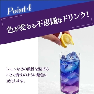 守山乳業 MORIYAMA バタフライピーティー 1000g × 6本 【 お茶 ハーブ ハーブティー おいしい ギフト プレゼント まとめ買い 神奈川県 南足柄市 】