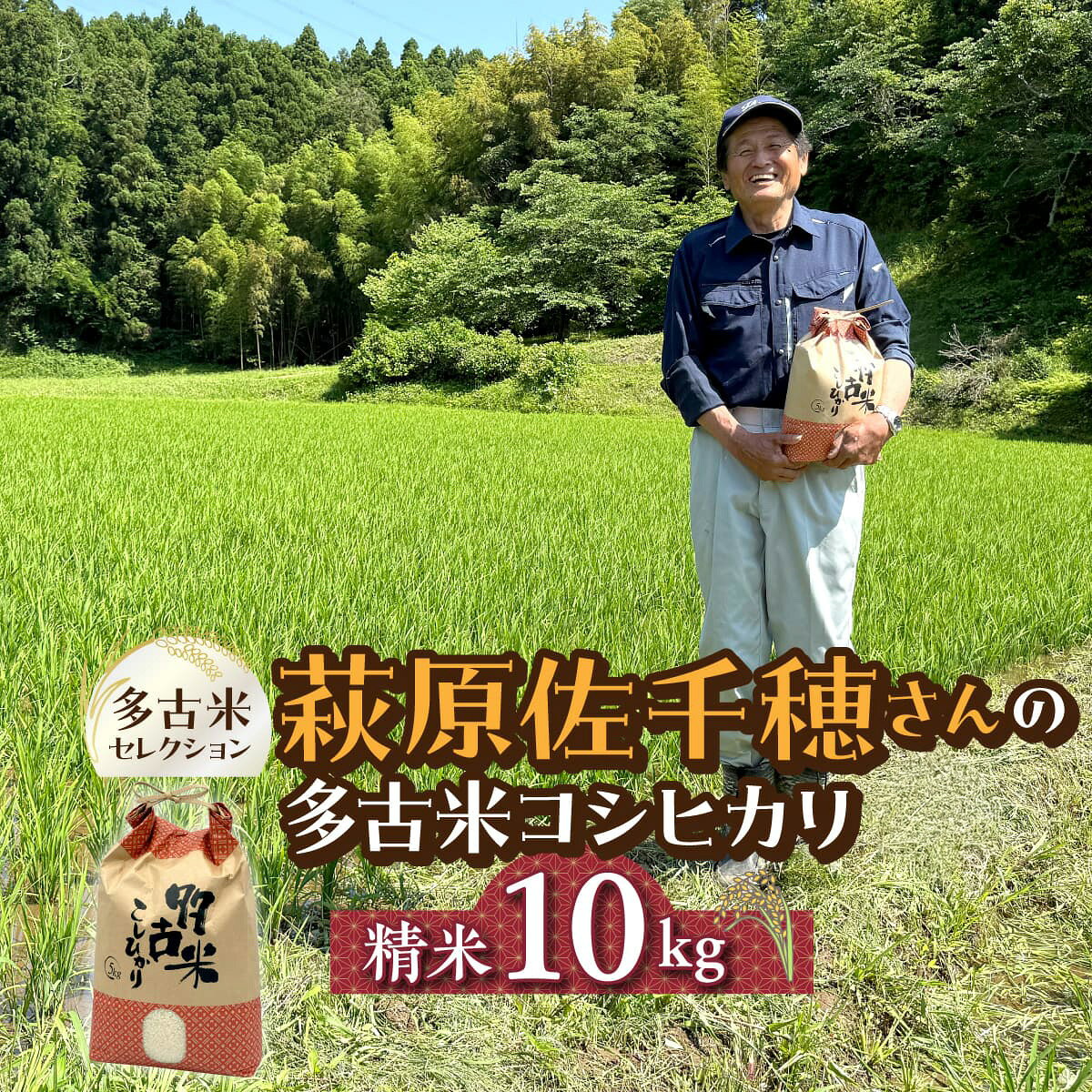 【ふるさと納税】多古米セレクション　萩原佐千穂さんの多古米コシヒカリ　精米10kg　令和8年産【配送不可地域：離島】ふるさと納税 多古米 米 コメ コシヒカリ 精米 新米 10kg 冷めても美味しい おかずがいらない 千葉県 多古町【TAKF060】