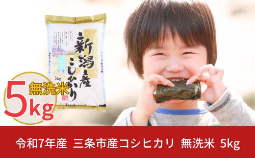 無洗米  新潟県三条市産コシヒカリ 5kg 令和7年産  むせんまい こしひかり [株式会社白熊]【010S100】