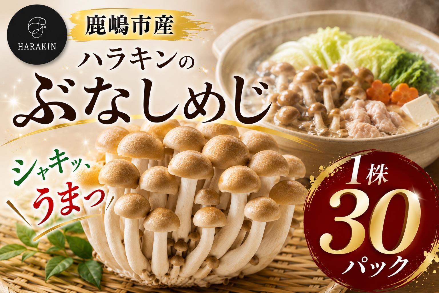 
                  ぶなしめじ 1株×30パック しめじ 国産 純国産 健康 きのこ 茸 安心 安全 低カロリー 国産 食物繊維 農薬不使用 ブナシメジ シメジ まろやか ビタミンB ご家庭用 こだわり パスタ 炊き込みご飯 鍋 炒め物 味噌汁 おかず マッシュルーム mushroom simeji kinoko 茨城県産 鹿嶋市産 ふるさと納税 茨城県 鹿嶋市
                