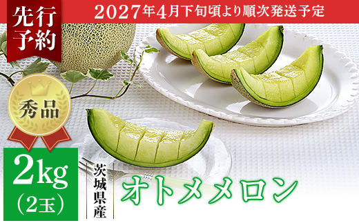 007-2 オトメメロン 秀品 2玉 約2kg 茨城県 JA水戸産