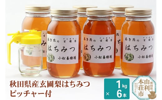 
小松養蜂場 はちみつ 秋田県産 100% 玄圃梨蜂蜜 1kg×6本 ピッチャー付

