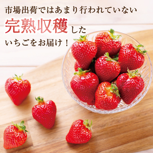 【ふるさと納税】暖家のいちご 完熟あまおう 贈答用4パック [a9405] 社会福祉法人猪位金福祉会 暖家の丘 ※配送不可：北海道・沖縄・離島【返礼品】添田町 ふるさと納税
