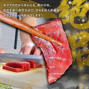 本鮪 赤身600g 高知県土佐市 【株式会社大熊】 [BQAA037]