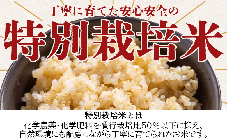 令和８年度産 玄米（特別栽培米）5kg - コシヒカリ こしひかり お米 こめ ご飯 穀物 お取り寄せ キロ ふっくら 冷めても美味しい 甘み お弁当 精米 国産 産地直送 こなつファーム 高知県 香