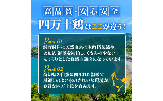 【6ヶ月連続】四万十ブランド 鶏肉1kg 豚肉300g（計1.3kg×6回) 7.8kg 6回定期便 5Zコース｜ 四万十ポークスライス 四万十ポーク 豚バラ肉 小分け 小間切れ スライス 切り落とし