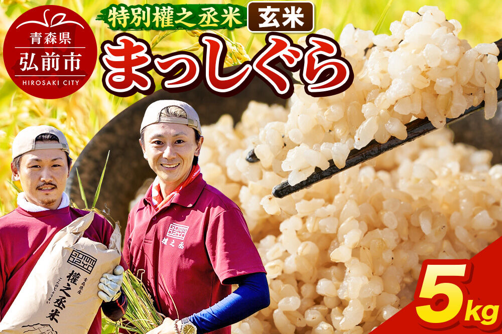 まっしぐら 5kg ［玄米］ 特別權之丞米 青森県産 令和7年産 [お米 東北 玄米 青森 青森県産 米 ブランド米]
