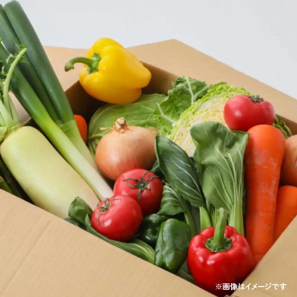 【12回定期便】野菜セット 12から13品目 野菜定期便[SGG001]