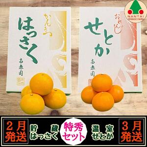 定期便 貯蔵 はっさく ＆ ハウス せとか 全2回 南泰園 特秀 セット みかん
