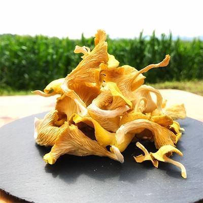 ふるさと納税 あさぎり町 うま味が魅力の　「花咲たもぎ茸」(乾燥タイプ)100g×1袋