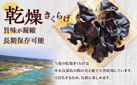 南国 きくらげ 生 ・ 乾燥 セットA C070-002 キクラゲ 有機成分 ミネラル 歯ごたえ 肉厚 バガス 野菜 やさい 沖永良部産 沖永良部 生きくらげ 生キクラゲ 乾燥きくらげ 料理 中華炒め