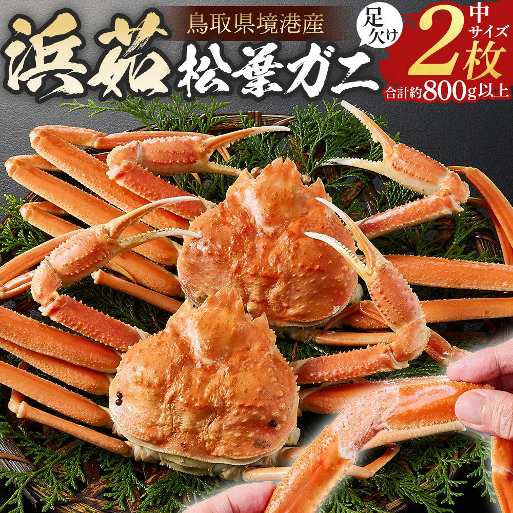 【ふるさと納税】＜11月中旬～3月上旬発送予定＞ 浜茹 松葉ガニ 足欠 2枚 計約800g以上 | 松葉ガニ 松葉がに ズワイガニ ずわいがに 蟹 かに カニ ボイル ボイル済み 茹で 浜茹で カニ姿