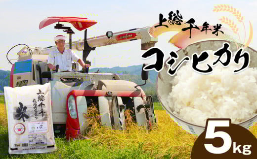 新米 上総千年米 コシヒカリ （精米）5㎏ | 米 こめ お米 おこめ 白米 精米 プレミアムなお米 千葉 こしひかり 千葉県 君津市