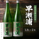 【ふるさと納税】【早瀬浦】純米吟醸 1800ml × 2本 セット 【日本酒 地酒 福井 美浜 早瀬 フルーティ 男酒 硬水 ミネラル 希少 ご褒美 家飲み】 [m16-c006]