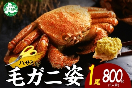 3302. ボイル毛蟹姿 800g 食べ方ガイド・専用ハサミ付 カニ かに 蟹 海鮮 送料無料 北海道 弟子屈町
