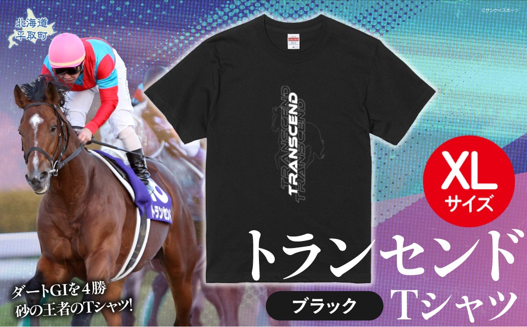 【トランセンド】Ｔシャツ 選べる４サイズ【XL】 BRTV150-4