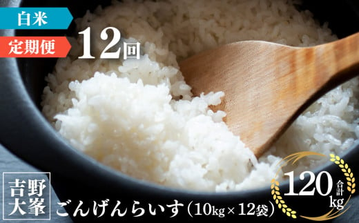 【新米予約】【定期便】ひのひかり 奈良のお米のお届け便　10kg×1年分 （12回）｜ごんげんらいす 白米 米 精米 ヒノヒカリ ごはん 奈良県産 吉野町 令和6年 新米 先行予約 令和6年産