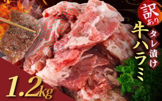 【訳あり】 タレ漬け 牛ハラミ 1.2kg 300g×4P （  肉 牛肉 牛 味付け ハラミ タレ ハラミ肉 BBQ バーベキュー 焼き肉 焼肉 焼肉セット アウトドア キャンプ ギフト パック 小分け 300g 個包装 簡単 便利 冷凍 人気 京都 南丹市 神戸 ミートフーズ ）