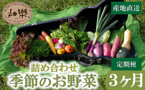 【定期便3ヶ月】旬の 野菜 詰め合わせ 7～9品 産地直送