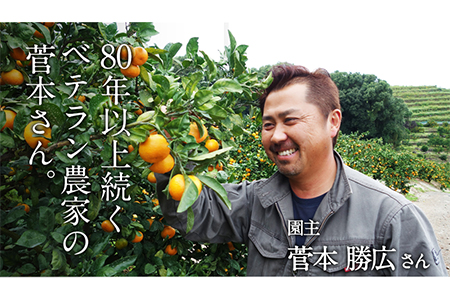みかん 約5kg(2S-Lサイズ)《11月中旬-1月中旬頃出荷》 【日付指定不可】 菅本果実園