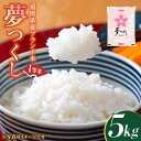 【ふるさと納税】【先行予約】福岡県産ブランド米「夢つくし」白米 5kg 【2024年9月上旬以降順次発送】《築上町》【株式会社ゼロプラス】 お米 白ご飯 夢つくし ブランド米 おにぎり 12000円 [ABDD007]