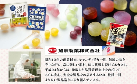 加藤製菓 国産しょうがのど飴 70g×10個 飴 あめ キャンデイー 個包装 国産 日本産 素材の味 素材 ジンジャー 甜菜糖 ショウガ 生姜 酸味 まろやか 優しい味わい 持ち歩き お取り寄せ 送料