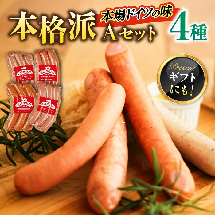 【ふるさと納税】マイスター直伝手作りソーセージ Aセット 4種 ウインナー チョリソー BBQ 岐阜市/ドイツデリカテッセン　クリンゲン[ANBQ001]
