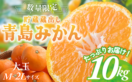 貯蔵蔵出し 青島みかん 大玉 M～2Lサイズ 10㎏ 蜜柑 みかん ミカン 柑橘類 数量限定 旬 柑橘 フルーツ 果物 くだもの 貯蔵みかん 人気 美味しい 三重県 多気町 JA-06