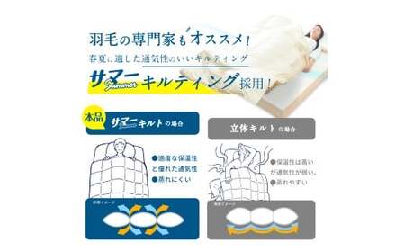 日本製 ダウンケット 85%ダウン 0.3kg充填 シングル 羽毛肌掛け布団 (アイボリー／ブラウン／グレー) 寝具 羽毛布団