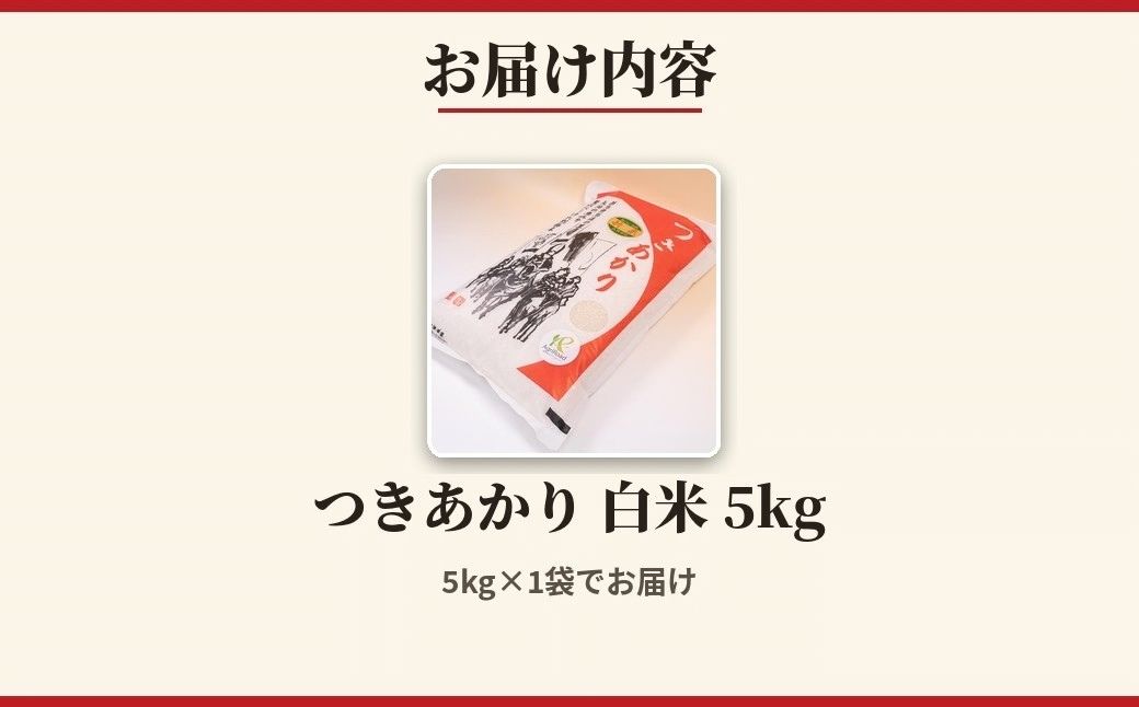 【白米】 令和8年産 アグリロード つきあかり 5kg (5kg × 1) 5キロ 精米 白米 コメ ごはん ブランド米 南相馬 福島 福島県産 お取り寄せ 炊き立て 送料無料 ふるさと納税 オンライ