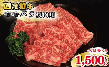 牛肉 モモ 1.5kg 焼肉 国産和牛 焼肉 焼肉 焼肉 焼肉 焼肉
