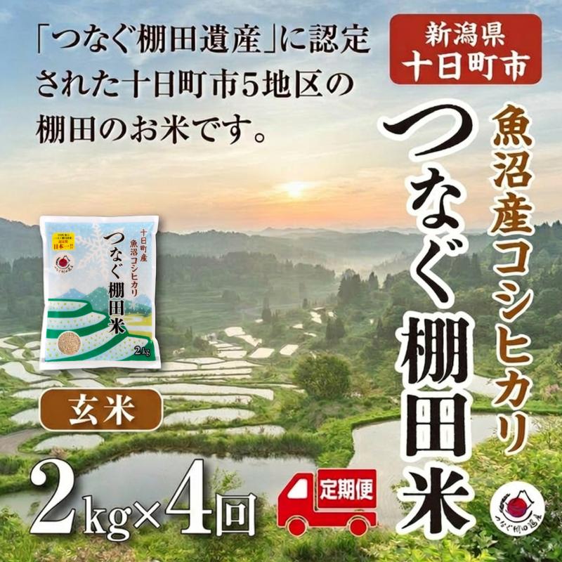 【令和8年産 新米】 【定期便／全4回】玄米2kg  令和8年産新潟県十日町市魚沼産コシヒカリ「つなぐ棚田米」 米 こしひかり 玄米 十日町市