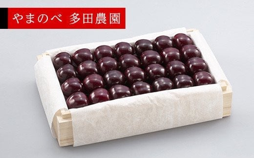 ≪2026年 先行予約≫さくらんぼ 特選サミット 桐箱詰 700g「やまのべ多田農園」 F2Y-1388