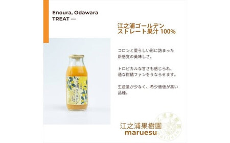 小田原産江之浦みかんジュース５種のみくらべ３０本セット うんしゅう・しらぬい・ゴールデン・なつみ・バレンシアオレンジ１００％ストレートジュース１８０ml各６本合計３０本【 神奈川県 小田原市 】